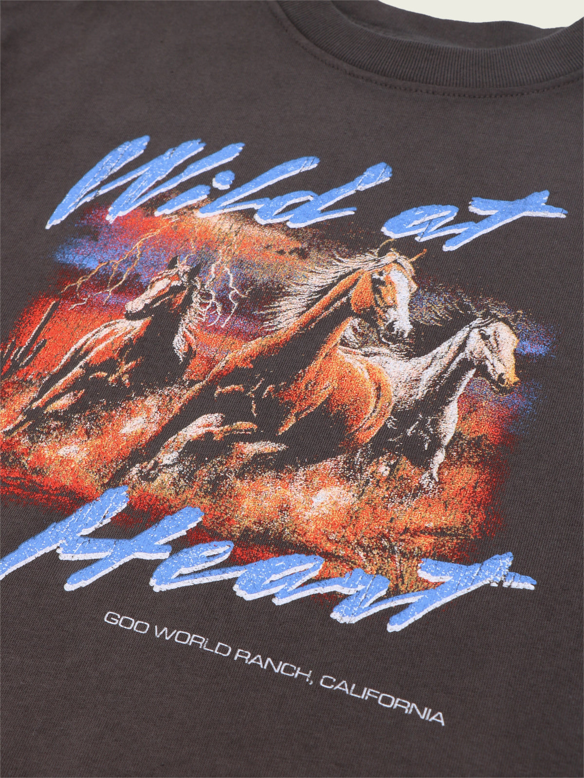 Wild horses graphic printed on black garment-dyed heavyweight cotton T-shirt