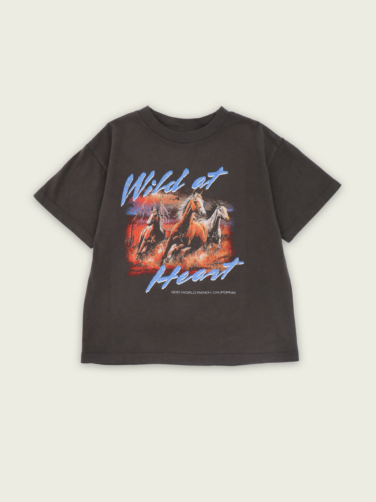 Black heavyweight 100% cotton T-shirt with wild horses graphic